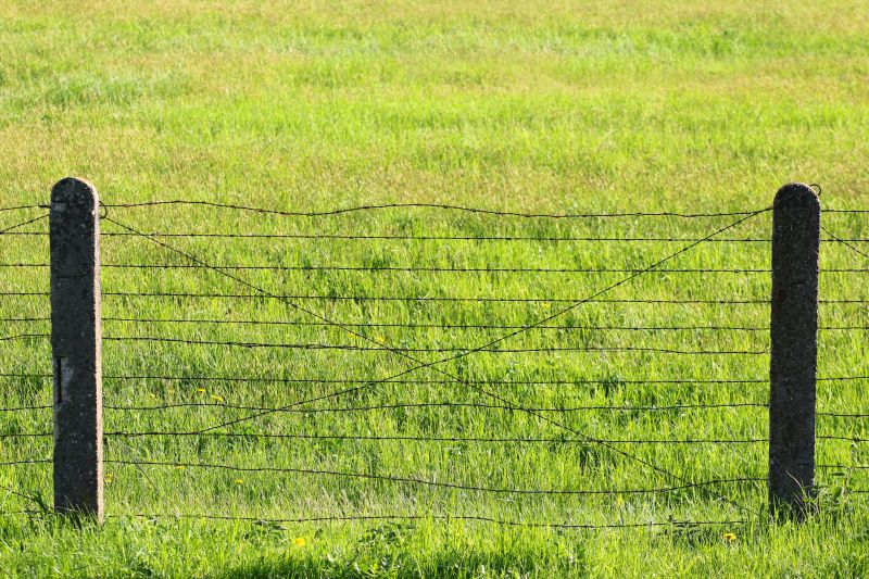 Farm Fence with Posts